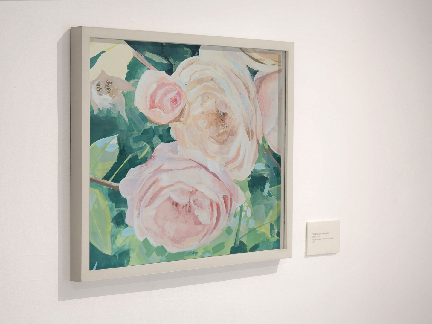 New Rose Original