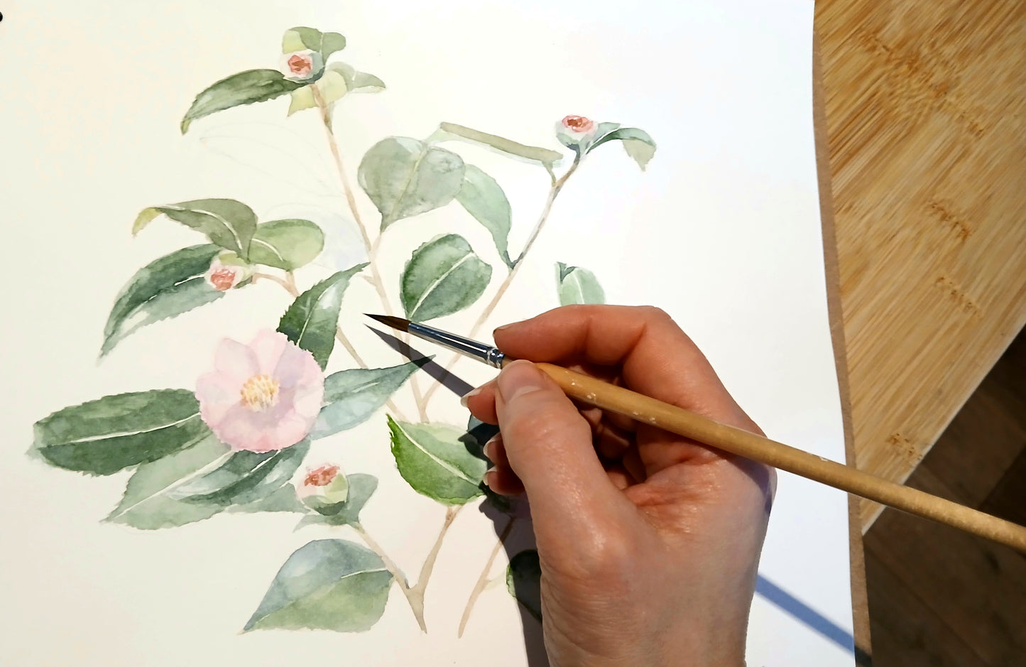 Camellia Print