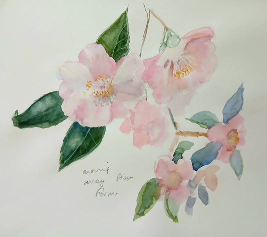 Camelia Sketch
