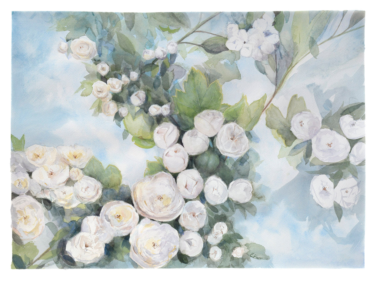 White Hawthorn Original