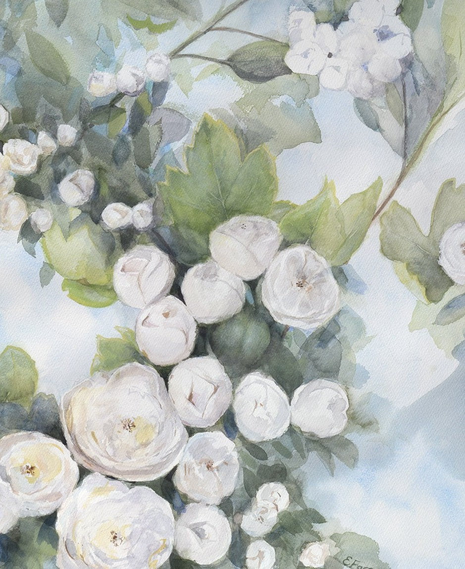 White Hawthorn Original