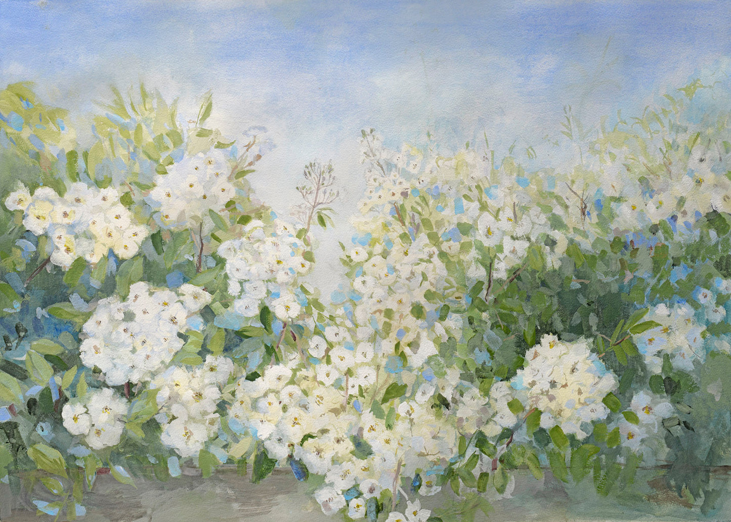 Fall of White Roses